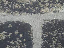 sandymount tower-13780.jpg